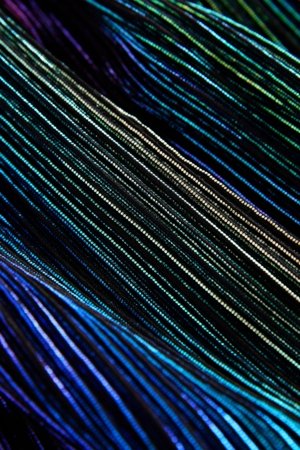 NEXT seelik, B68338 134 