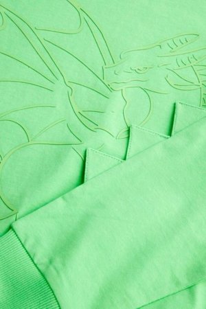 COCCODRILLO pikkade varrukatega särk DRAGONS BOY KIDS, roheline, WC5143102DBK-011-122, 122 cm 