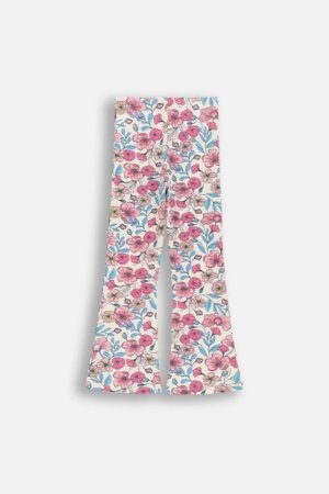 COCCODRILLO retuusid, värvilised, 