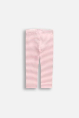 COCCODRILLO retuusid, roosad, 