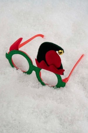 COCCODRILLO aksessuaarid, värviline, ZC5664301MER-022-000 