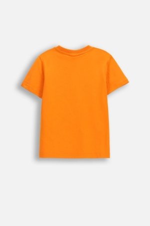 COCCODRILLO lühikeste varrukatega t-särk, oranžid, WC6143202FBK-006-098, 98 