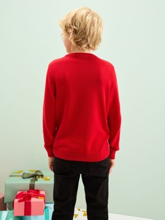 NEXT kampsun, F22674, cm 