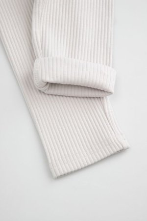 COCCODRILLO retuusid, hallid, 