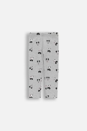 COCCODRILLO retuusid, hallid, 