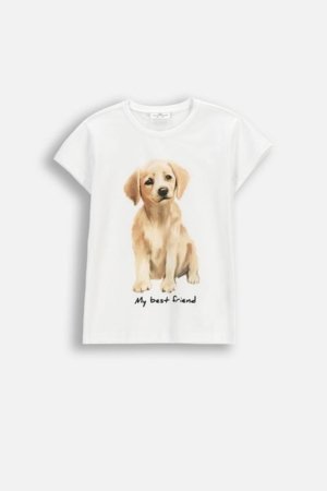 COCCODRILLO lühikeste varrukatega t-särk, valged, cm 