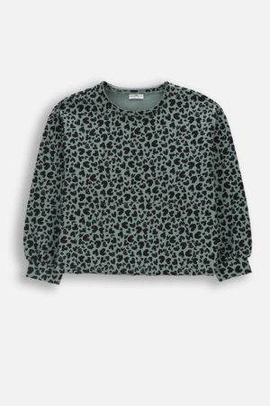 COCCODRILLO pusa, roheline, cm 