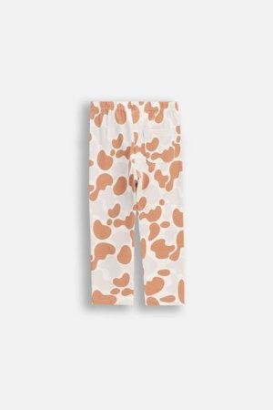 COCCODRILLO retuusid, värvilised, 