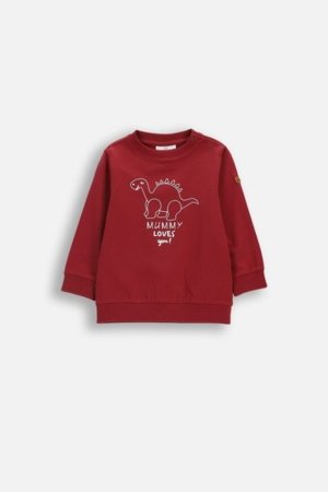 COCCODRILLO pusa, punane, WC6143102HBN-017-080, 80 suurus 