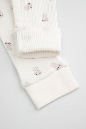 COCCODRILLO retuusid, kreemikat, WC6122103HUN-003-074, 74 suurus 