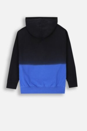 COCCODRILLO sweatshirt FOREST FRIENDS JUNIOR, multicoloured, ZC4132301FBJ-022-164, 164 cm 