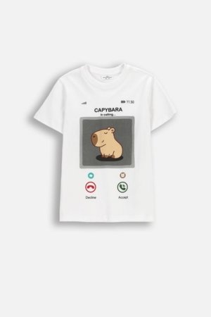 COCCODRILLO lühikeste varrukatega t-särk, valged, suurus 