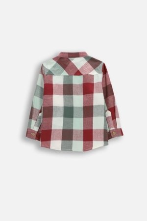 COCCODRILLO särk, rohelised, cm 