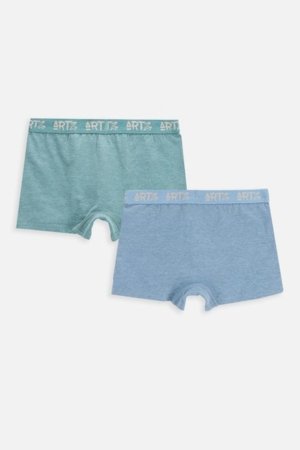 COCCODRILLO aluspüksid-bokserid, värvilised, WC6409509PAN-022-164, 164/170 suurus 