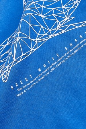 NEXT lühikeste varrukatega t-särk, 757030 