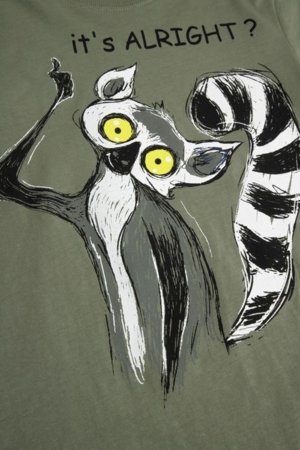 COCCODRILLO lühikeste varrukatega t-särk, rohelised, cm 