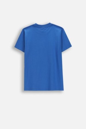 COCCODRILLO lühikeste varrukatega t-särk, sinised, suurus 