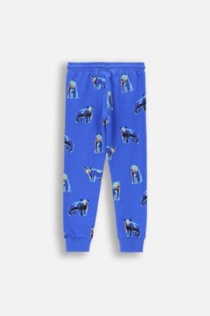 COCCODRILLO leggings FOREST FRIENDS KIDS, cobalt, ZC4122701FBK-032-122, 122 cm 