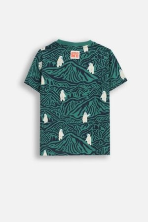 COCCODRILLO t-särk, mitmevärviline, cm 