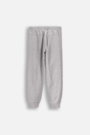 COCCODRILLO püksid EVERYDAY BOY A, hall, ZC5120102VBA-019-128, 128 cm 