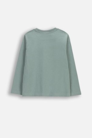 COCCODRILLO pikkade varrukatega t-särk, rohelised, cm 