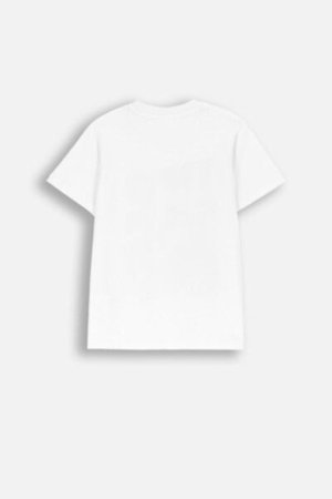 COCCODRILLO t-shirt FOREST FRIENDS JUNIOR, valged, ZC4143202FBJ-001-164, 164 cm 