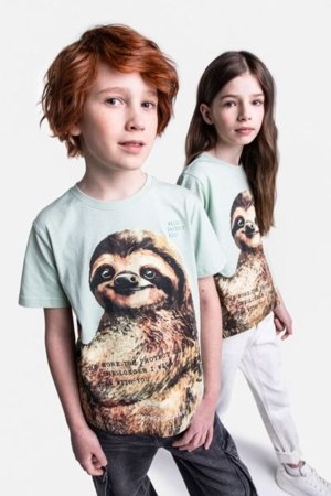COCCODRILLO lühikeste varrukatega särk EVERYDAY UNISEX A, roheline, WC5143204VUA-012-152, 152 cm 