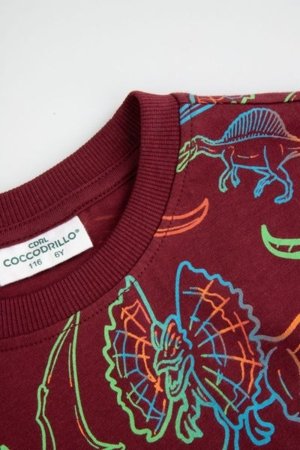 COCCODRILLO t-särgid EVERYDAY BOY A, värv, ZC5143208VBA-022-092, 92 cm 