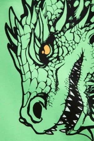 COCCODRILLO kapuutsiga kampsun DRAGONS BOY JUNIOR, roheline, WC5132301DBJ-011-164, 164 cm 