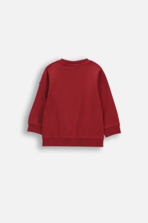 COCCODRILLO pusa, punane, WC6143102HBN-017-080, 80 suurus 