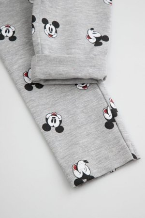 COCCODRILLO retuusid, hallid, 