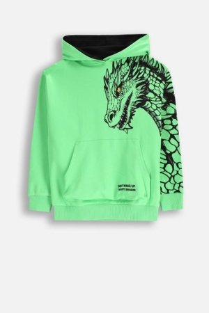 COCCODRILLO kapuutsiga kampsun DRAGONS BOY JUNIOR, roheline, WC5132301DBJ-011-164, 164 cm 