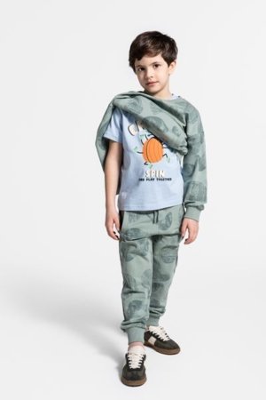 COCCODRILLO püksid SAGE TIME BOY KIDS, roheline, WC5120103SBK-027-122, 122 cm 