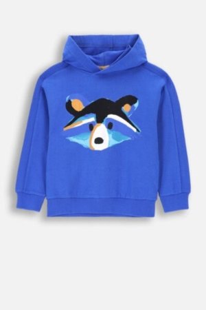 COCCODRILLO sweatshirt FOREST FRIENDS KIDS, cobalt, ZC4132301FBK-032-122, 122 cm 
