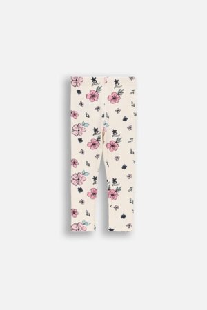 COCCODRILLO retuusid, kreemikat, WC6122103FGN-003-080, 80 suurus 