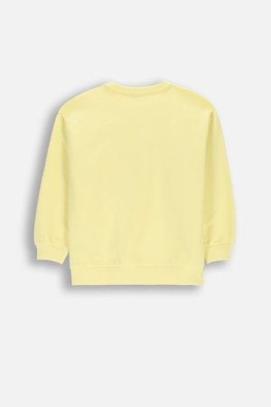 COCCODRILLO pusa, kollane, suurus 