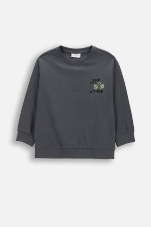 COCCODRILLO pikkade varrukatega t-särk, hallid, cm 