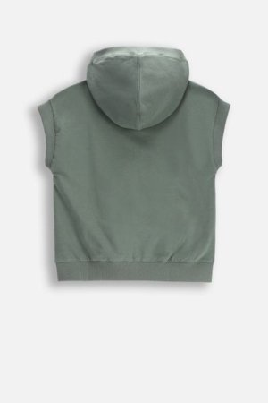 COCCODRILLO kapuutsiga kampsun SAGE TIME BOY KIDS, roheline, WC5132801SBK-027-122, 122 cm 