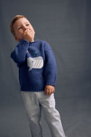 NEXT kampsun, E27758 104-110 