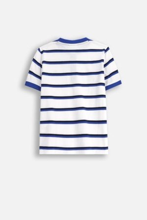COCCODRILLO pikkade varrukatega särk BACK TO SCHOOL BOY, värv, WC5143201BSB-022-164, 164 cm 