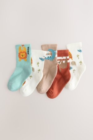 NEXT sokid, 5 tk., AN2443, 19-22 cm