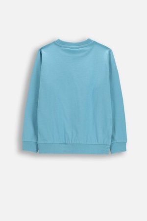 COCCODRILLO pikkade varrukatega t-särk, sinised, cm 