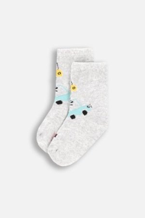 COCCODRILLO socks SOCKS BOY, hallid, ZC4382233SOB-019-019, 19/22 cm 