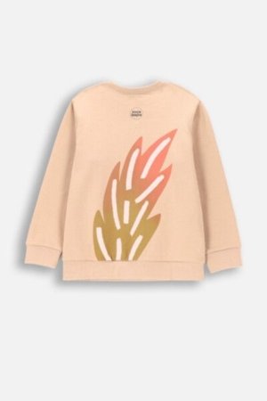 COCCODRILLO sweatshirt LICENCE BOY KOCIA SZAJKA, pruun, ZC4132101LBK-018-134, 134 cm 