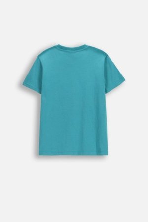 COCCODRILLO lühikeste varrukatega t-särk, rohelised, WC6143204VBA-013-152, 152 suurus 