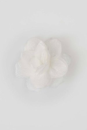 COCCODRILLO lisatarvikud PETIT BIJOU, kreemjas, ZC5325202PBJ-003-000, one size