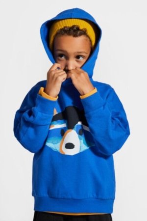 COCCODRILLO sweatshirt FOREST FRIENDS KIDS, cobalt, ZC4132301FBK-032-122, 122 cm 