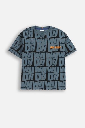 COCCODRILLO t-särk, värvilised, ZC5143203YBJ-022-164, 164 cm 