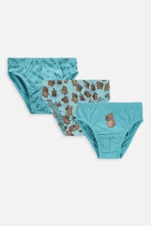 COCCODRILLO aluspüksid-bokserid, värvilised, suurus 