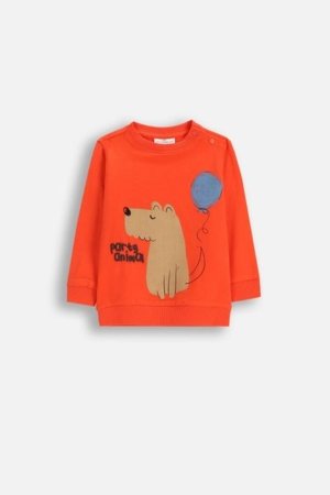 COCCODRILLO t-särgid, roosiline, ZC5143103BBN-009-086, 86 cm 